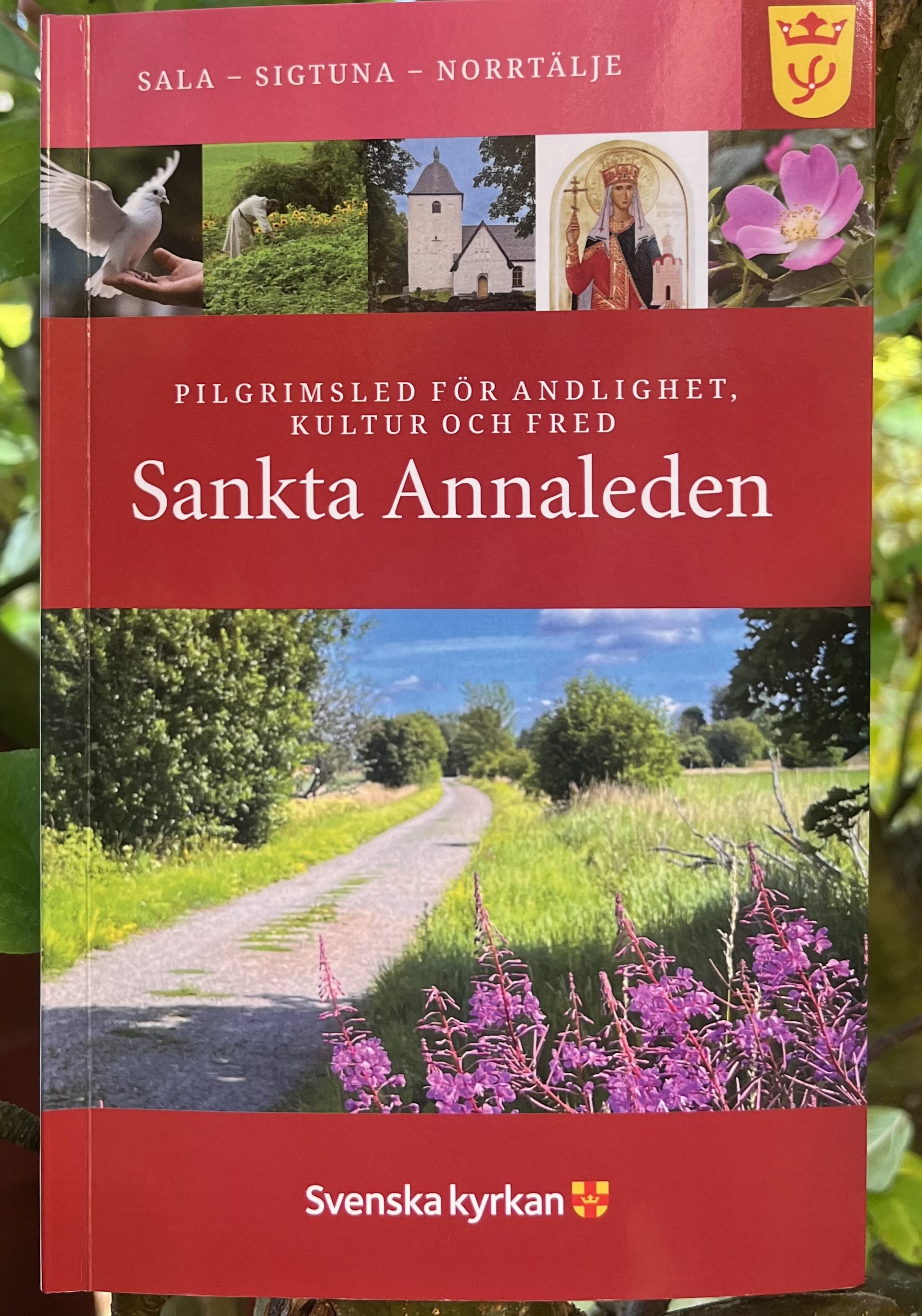 Bok: Sankta Annaleden